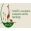 South Luangwa Conservation Society